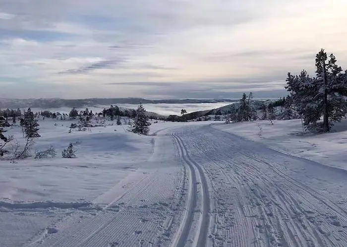 Cozy In Close To Nature Vrådal
